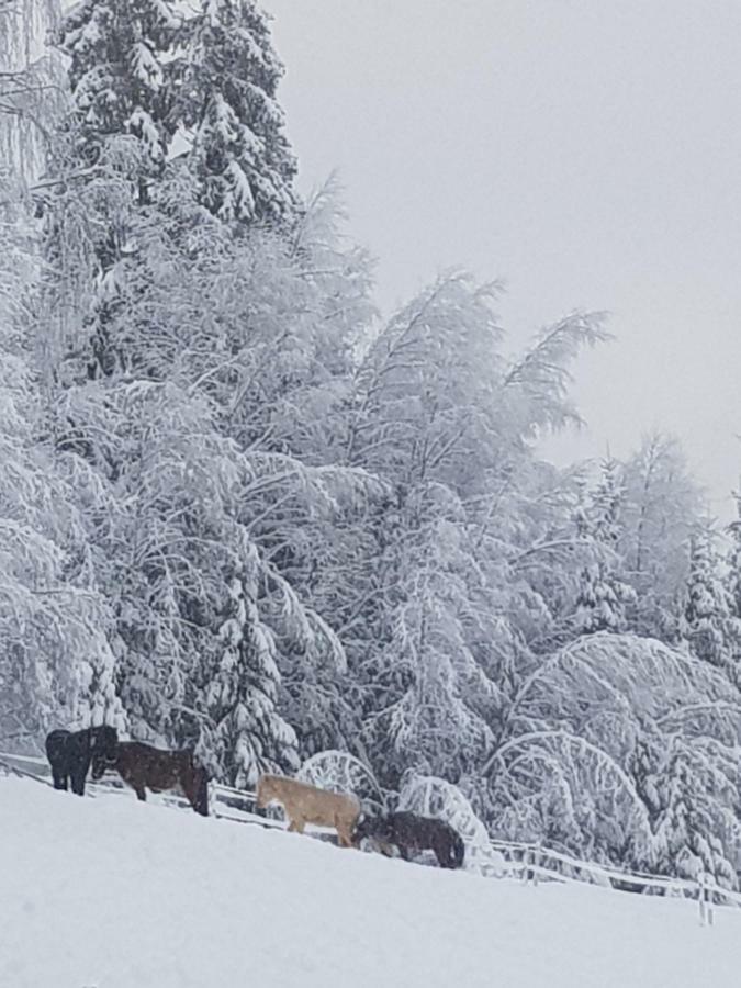 Lille Randklev Gaestehus Ringebu Luaran gambar