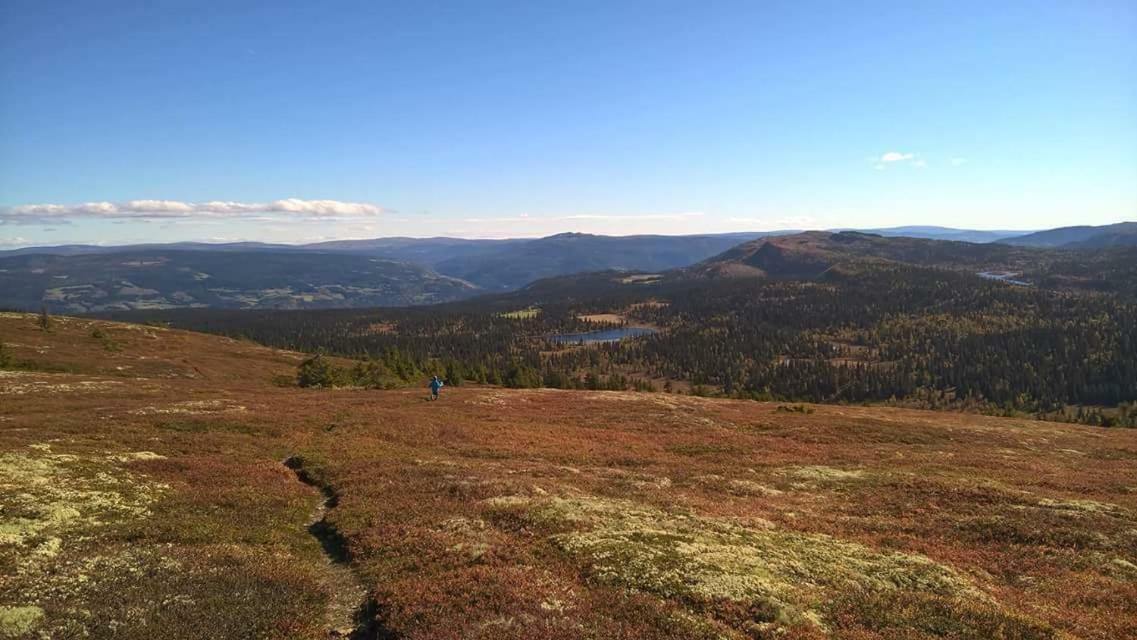 Lille Randklev Gaestehus Ringebu Luaran gambar